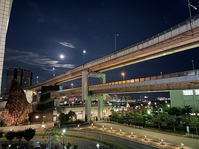 8527.jpg