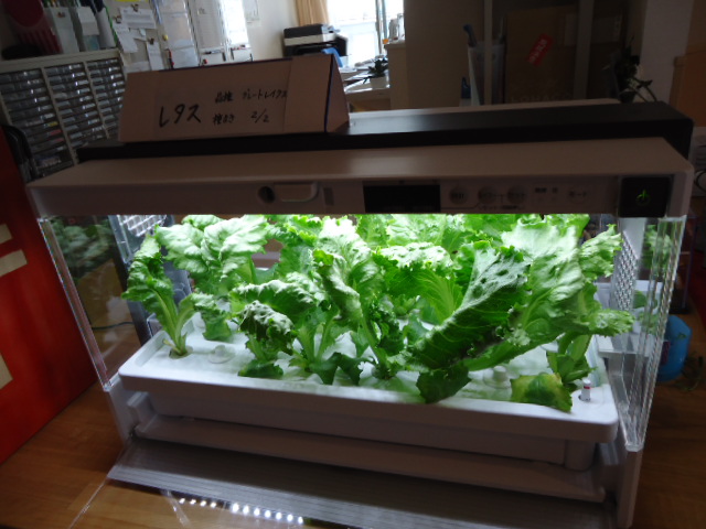 DSC00645.JPG
