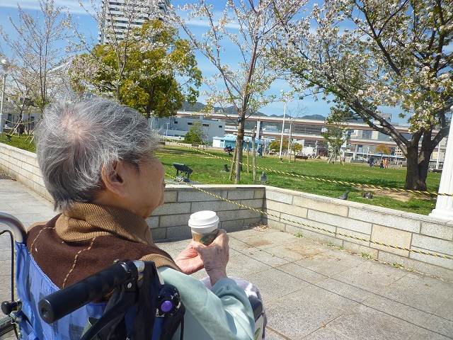 P1050116.jpg