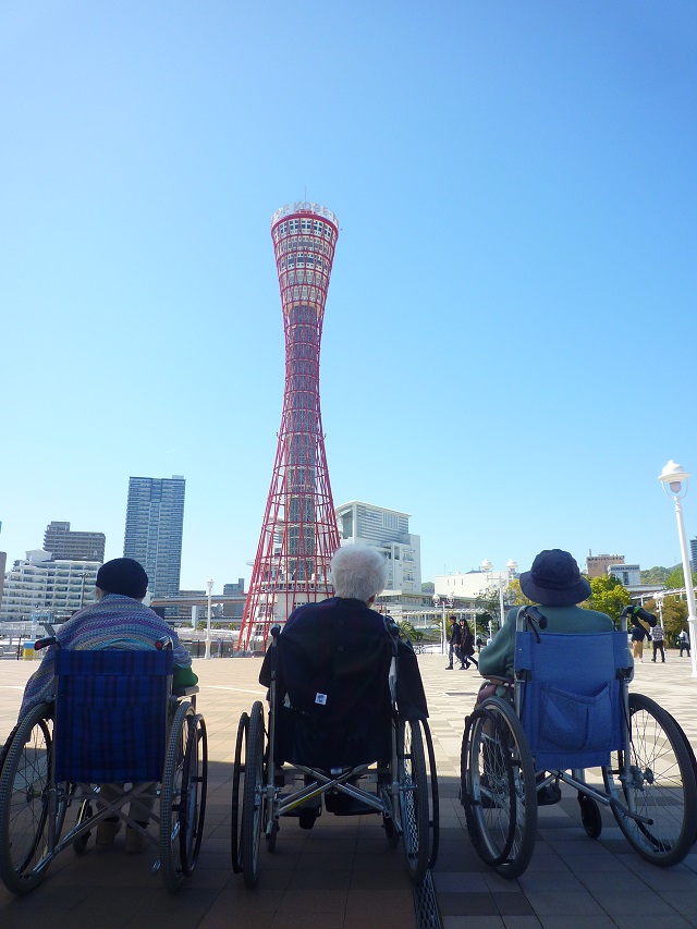 P1050135.jpg